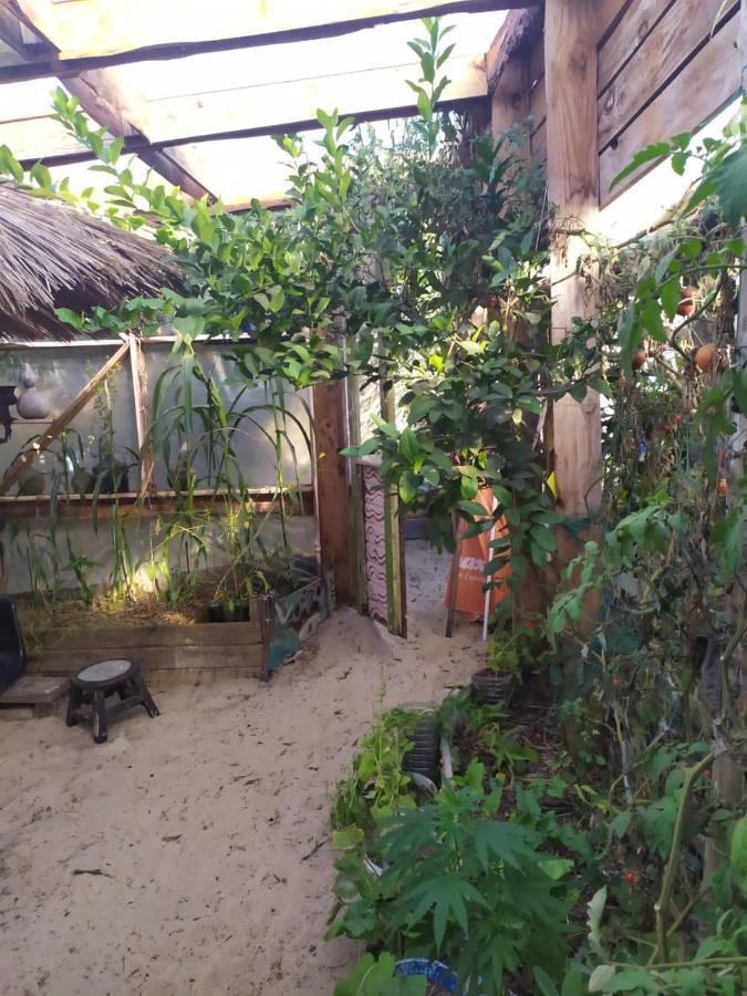 Casa Candombe Y Mar Barra de Valizas Esterno foto