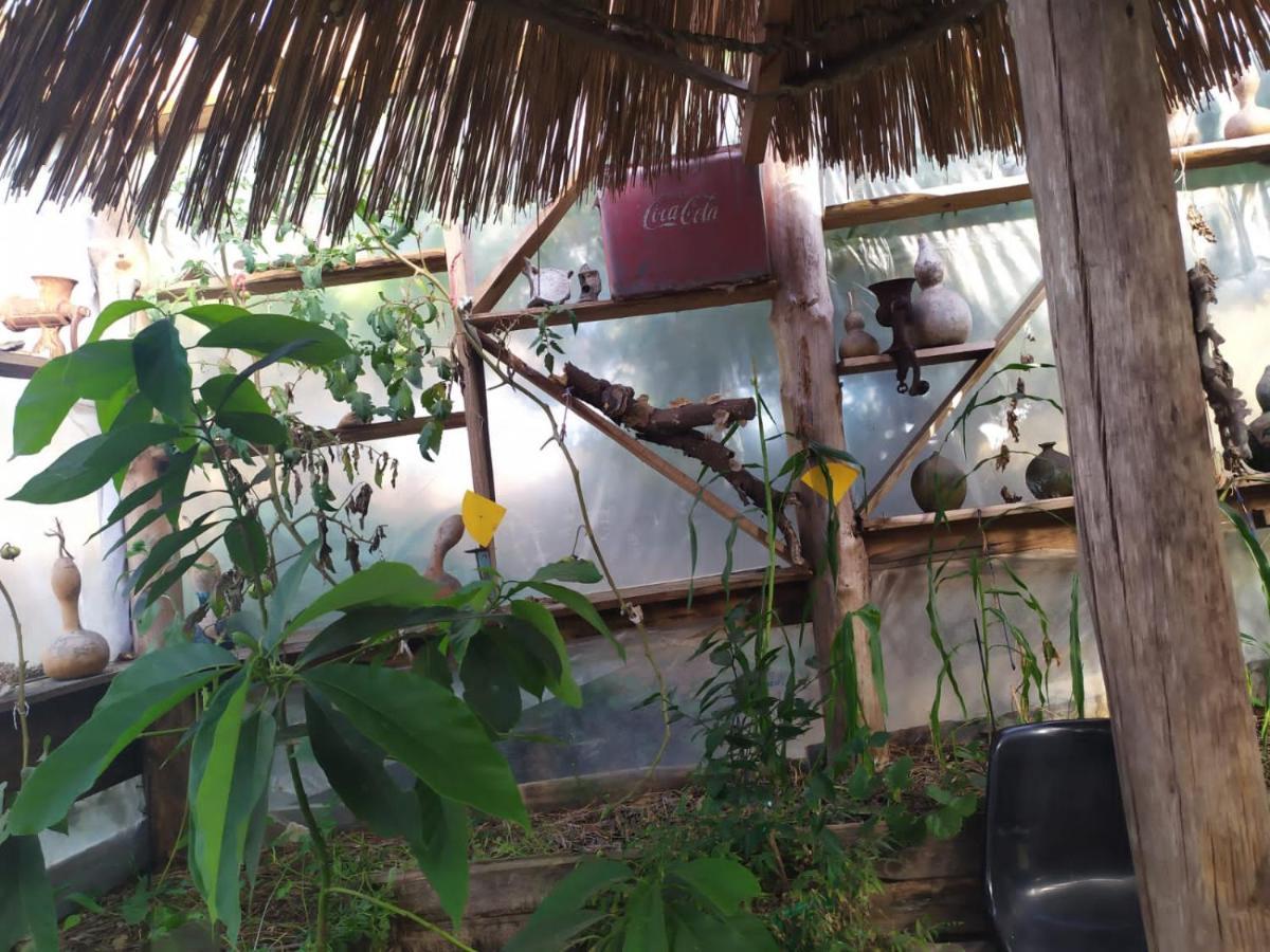 Casa Candombe Y Mar Barra de Valizas Esterno foto